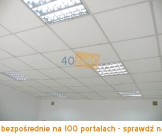 Lokal do wynajęcia, cena: 2 400,00 PLN, Leszno, kontakt: 600447128