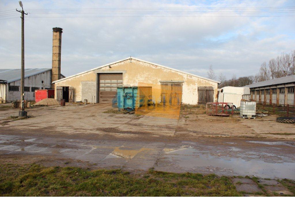 Lokal do wynajęcia, cena: 20 000,00 PLN, Rozbitek, kontakt: 509401390