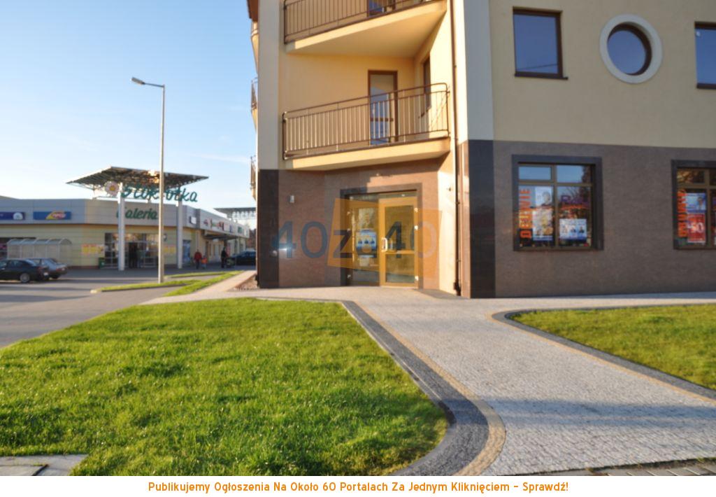 Lokal do wynajęcia, cena: 3 000,00 PLN, Przasnysz, kontakt: 501 026 393