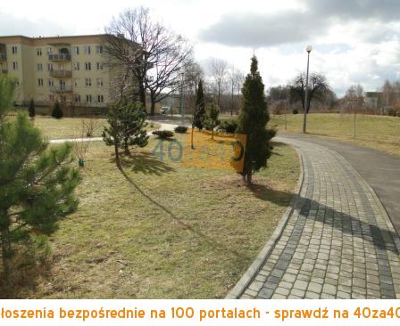 Lokal na sprzedaż, cena: 240 000,00 PLN, Łódź, kontakt: 665883065