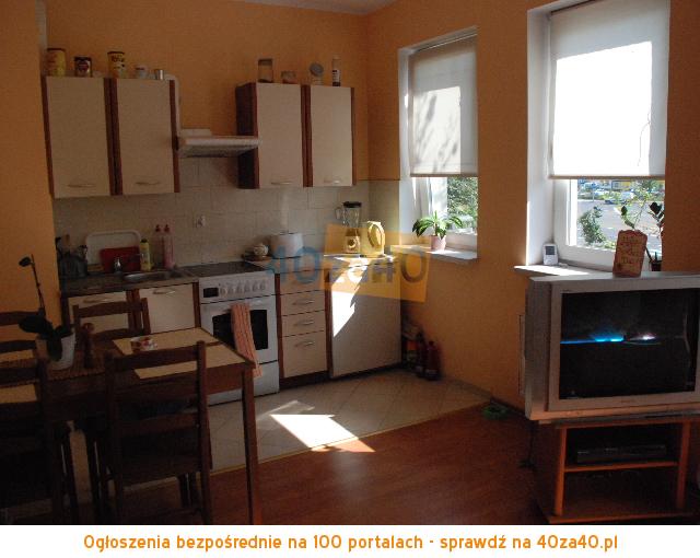 Mieszkanie do wynajęcia, pokoje: 2, cena: 1 300,00 PLN, Poznań, kontakt: 604447498