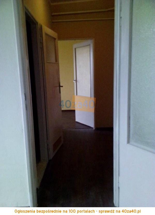 Mieszkanie do wynajęcia, pokoje: 2, cena: 900,00 PLN, Gdańsk, kontakt: 788-661-888