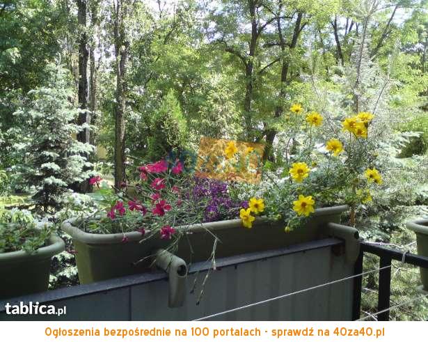 Mieszkanie na sprzedaż, pokoje: 3, cena: 389 000,00 PLN, Warszawa, kontakt: 502244760