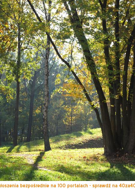 Mieszkanie na sprzedaż, pokoje: 3, cena: 790 000,00 PLN, Warszawa, kontakt: +48601723442