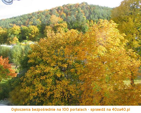 Mieszkanie na sprzedaż, pokoje: 4, cena: 525 000,00 PLN, Gdynia, kontakt: 506105711